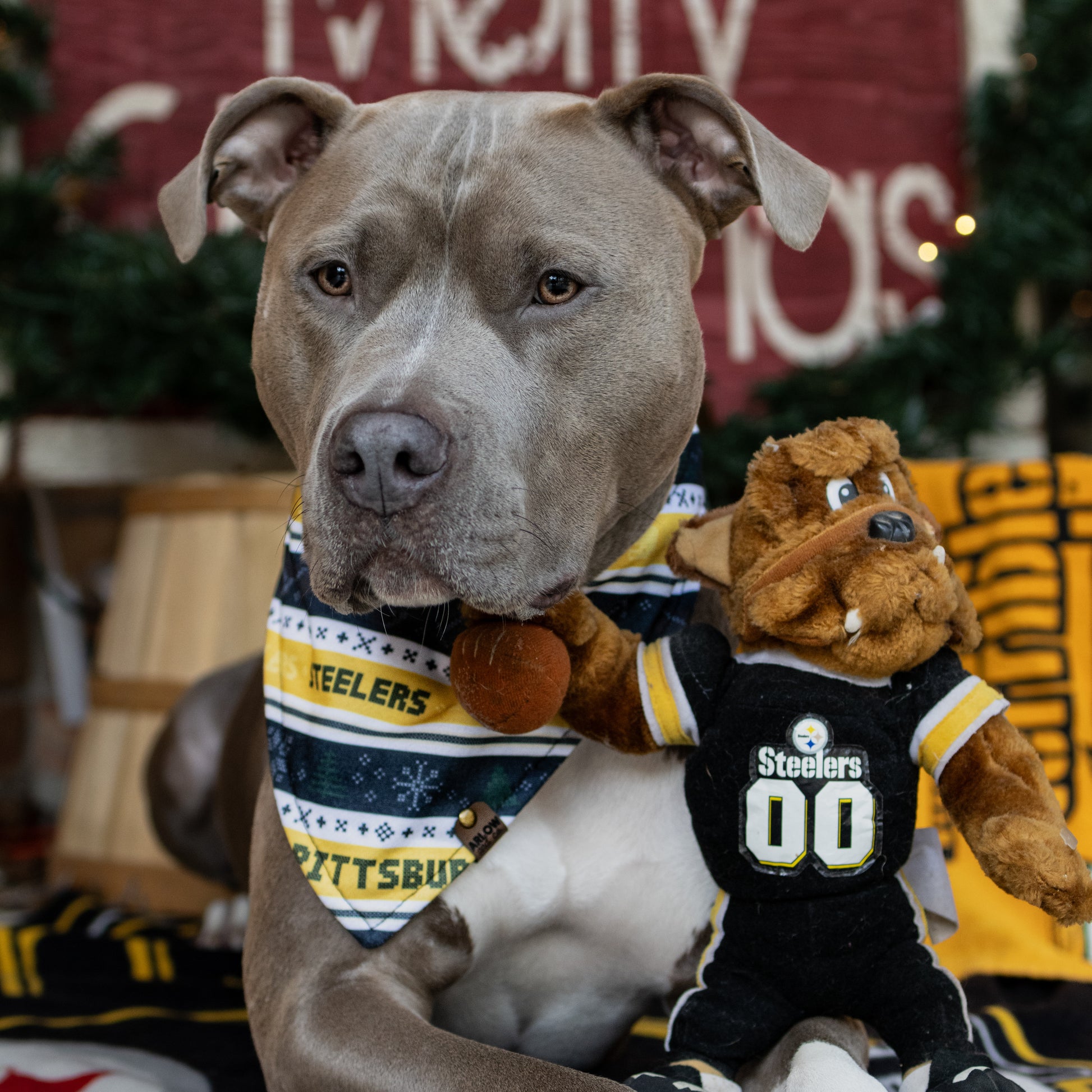 Game Day Christmas Sweater