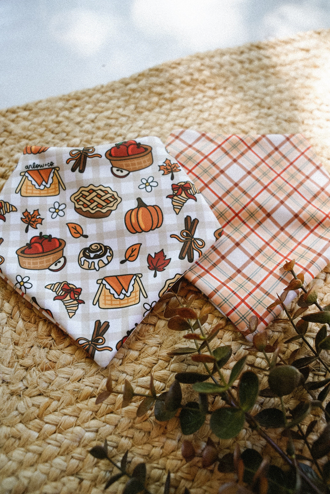 Autumn Picnic