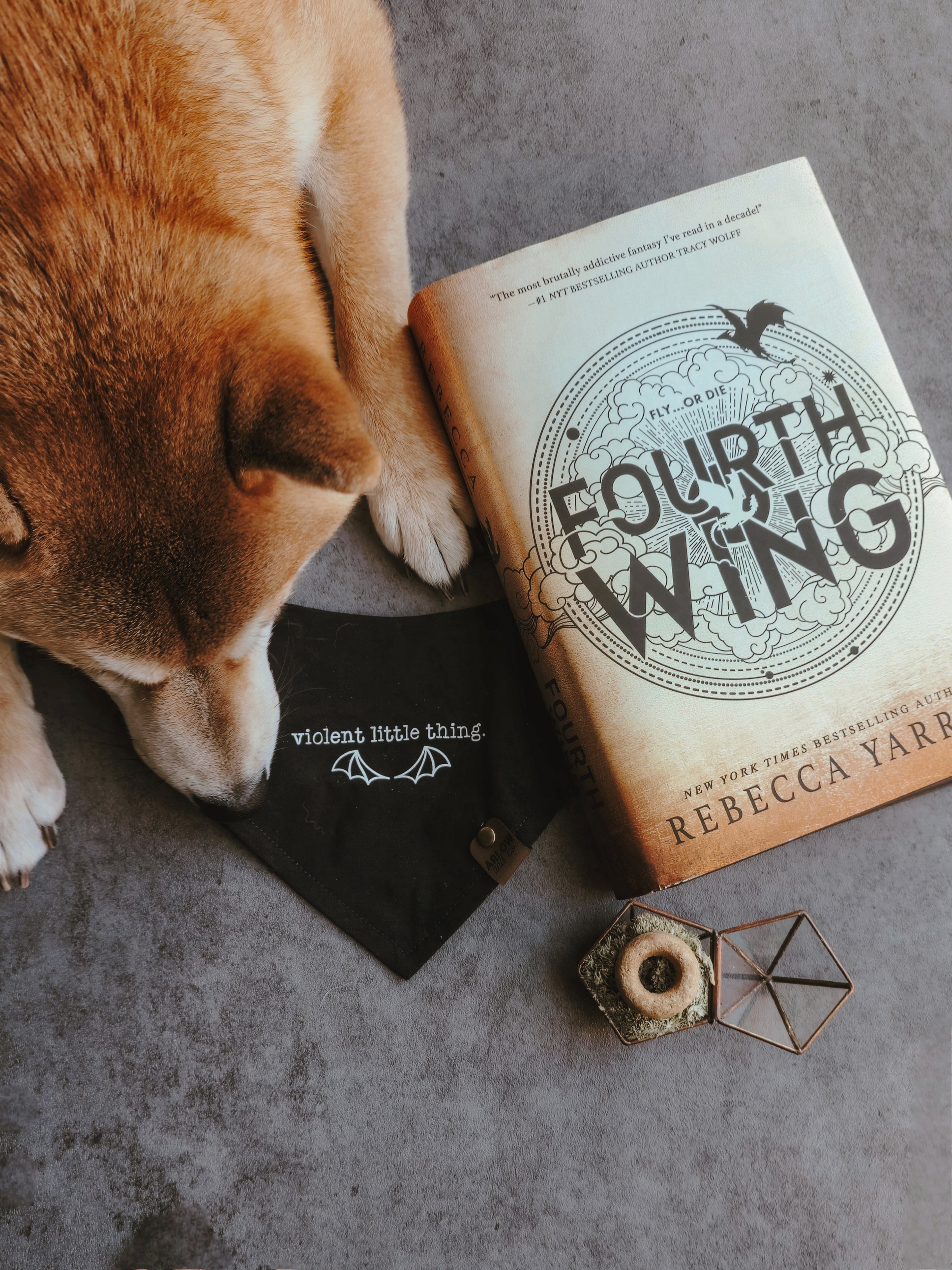Bookish Bandanas