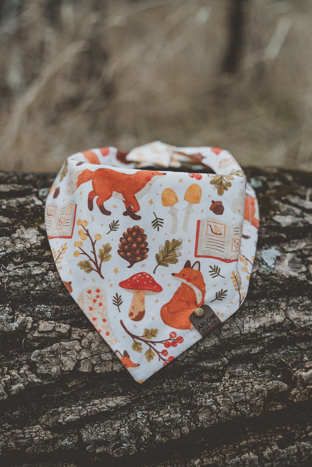 Cozy Inn – arlowandco