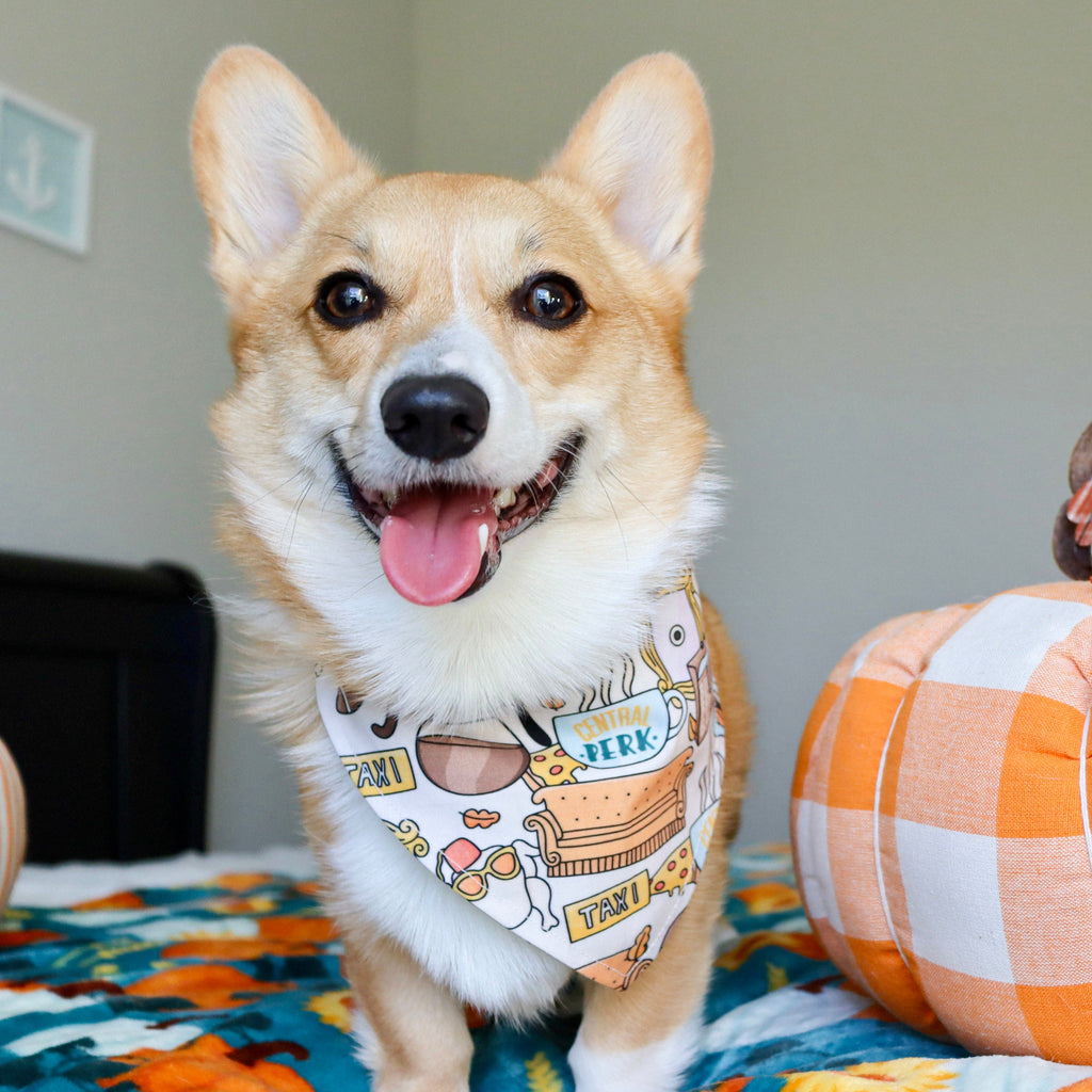 Corgi dog wearing a bandana next to a decorative pumpkin with a snowman figure on a table.