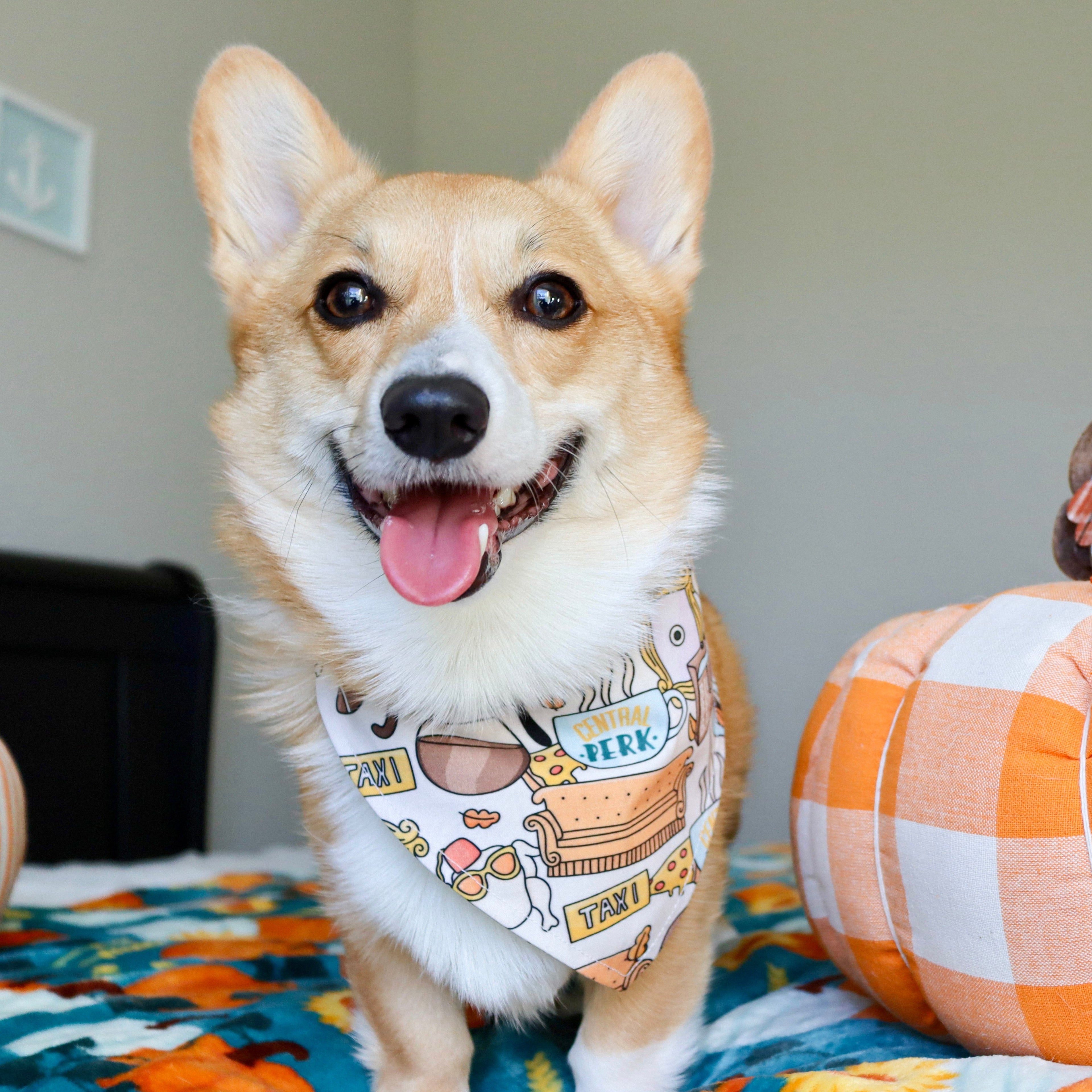 Corgi dog wearing a bandana next to a decorative pumpkin with a snowman figure on a table.