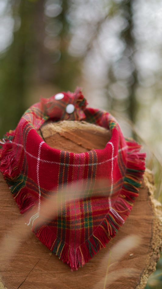 jolly plaid bandana