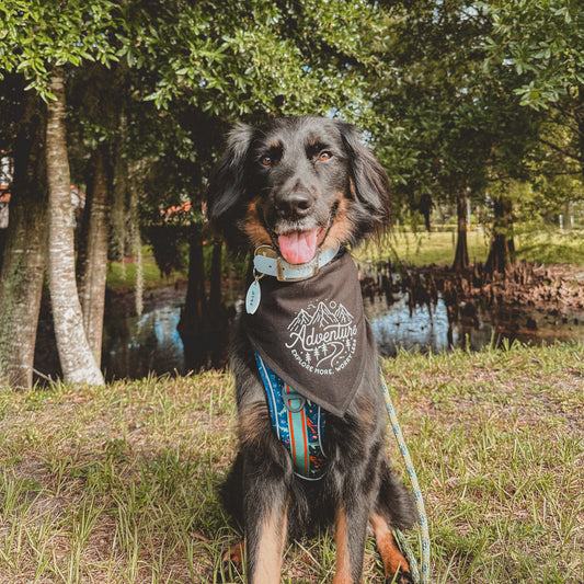 Adventure | Dog Bandana | Adventure Dogs | Outdoor Dog | Snap Bandana | Pet Accessory