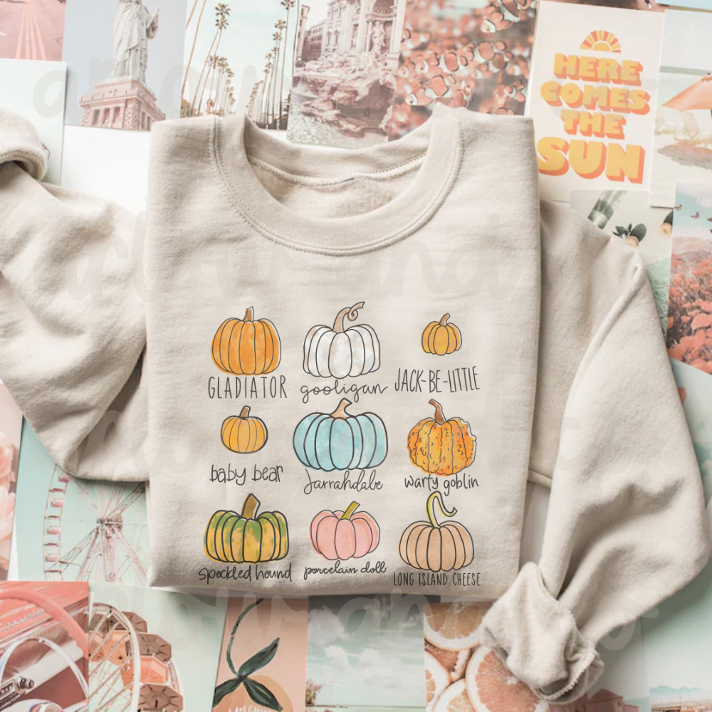 Pumpkin Patch