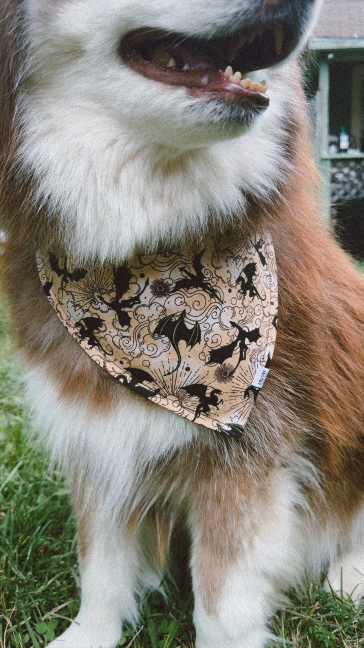 Fantasy Dragon Bandana | Cotton Book Inspired Dragon Pet Bandanas for Dogs & Cat