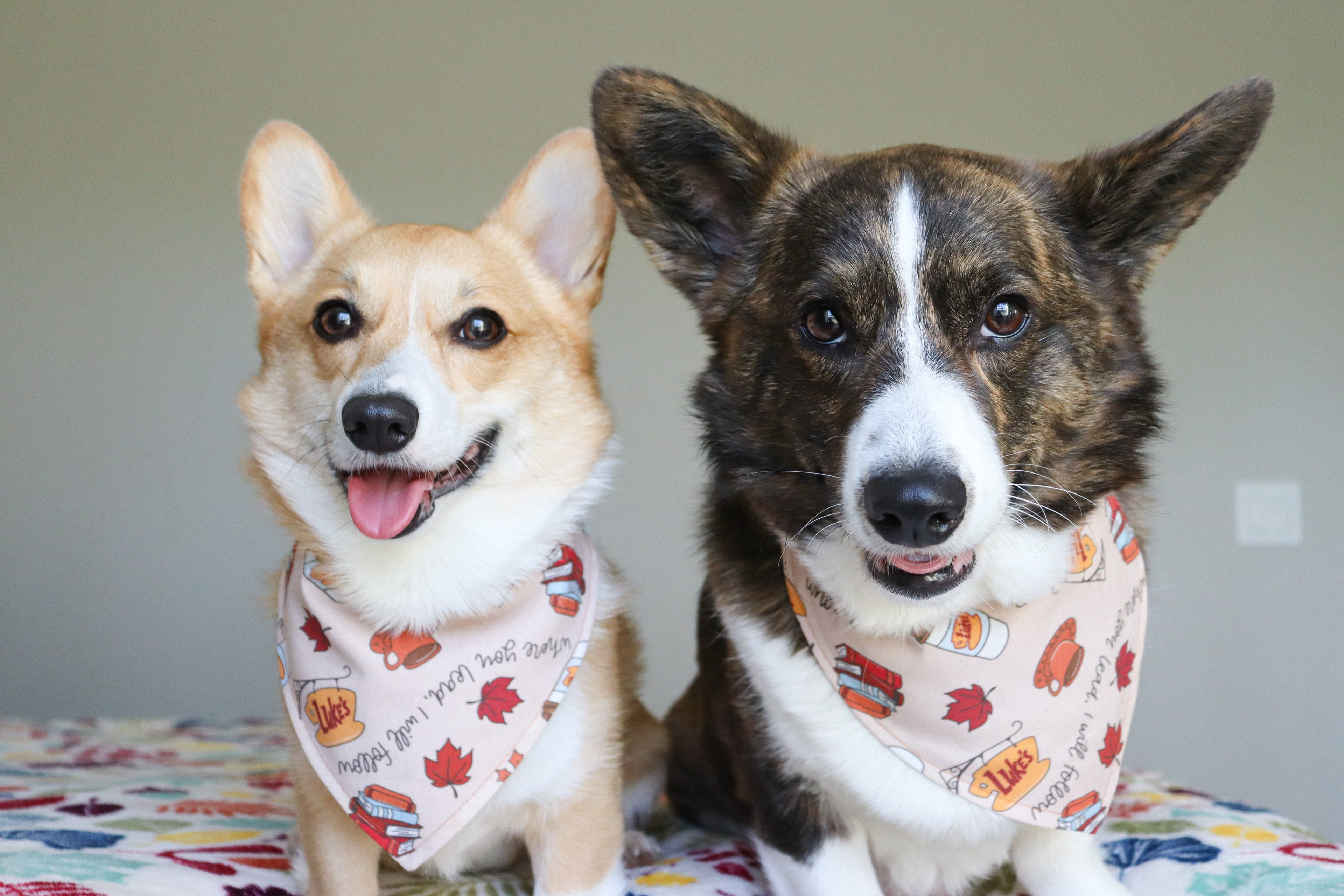 Follow Where You Lead