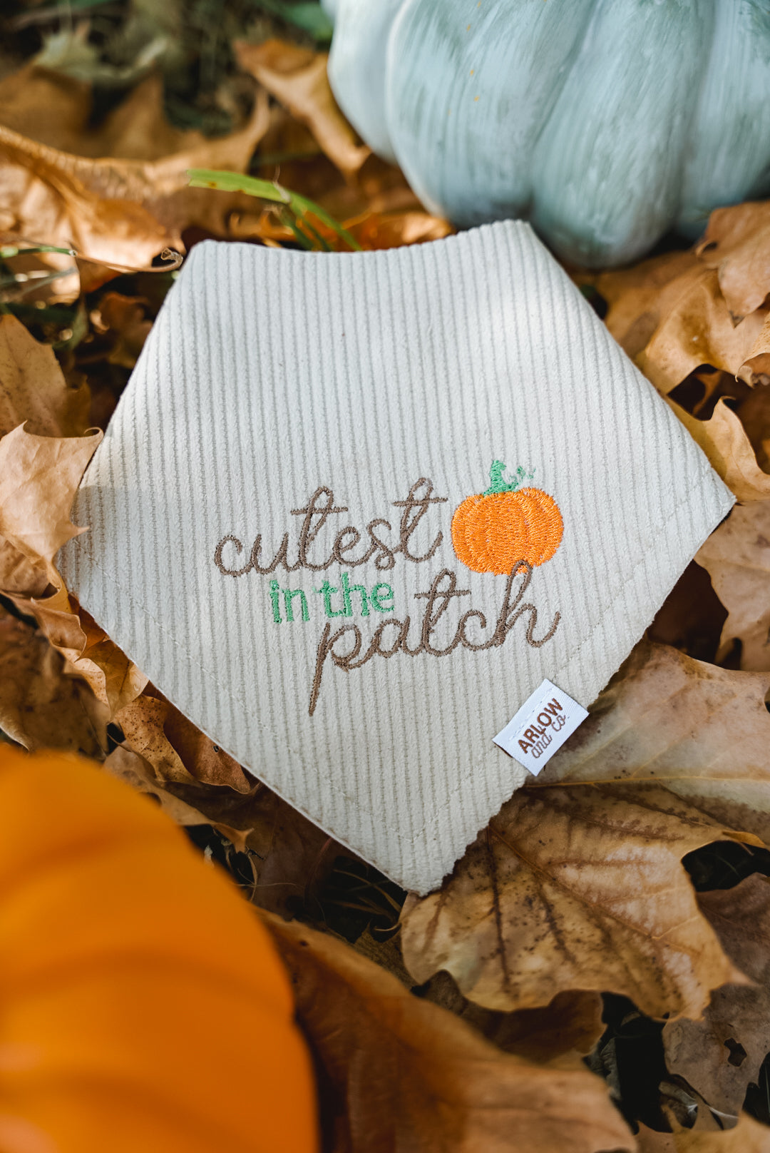 Cutest Pumpkin in the Patch Embroidered Bandana | Seasonal Fall Pet Bandanas for Dogs & Cats