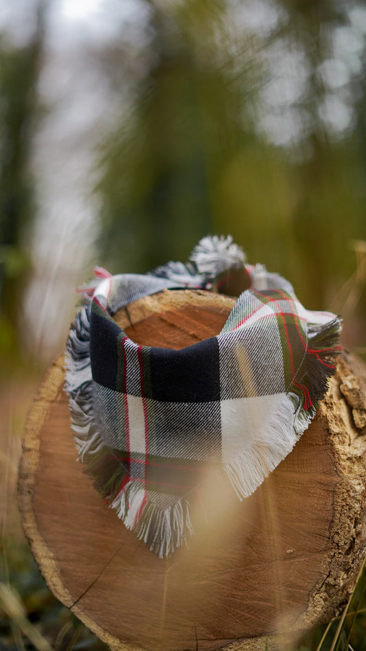 cypress plaid bandana