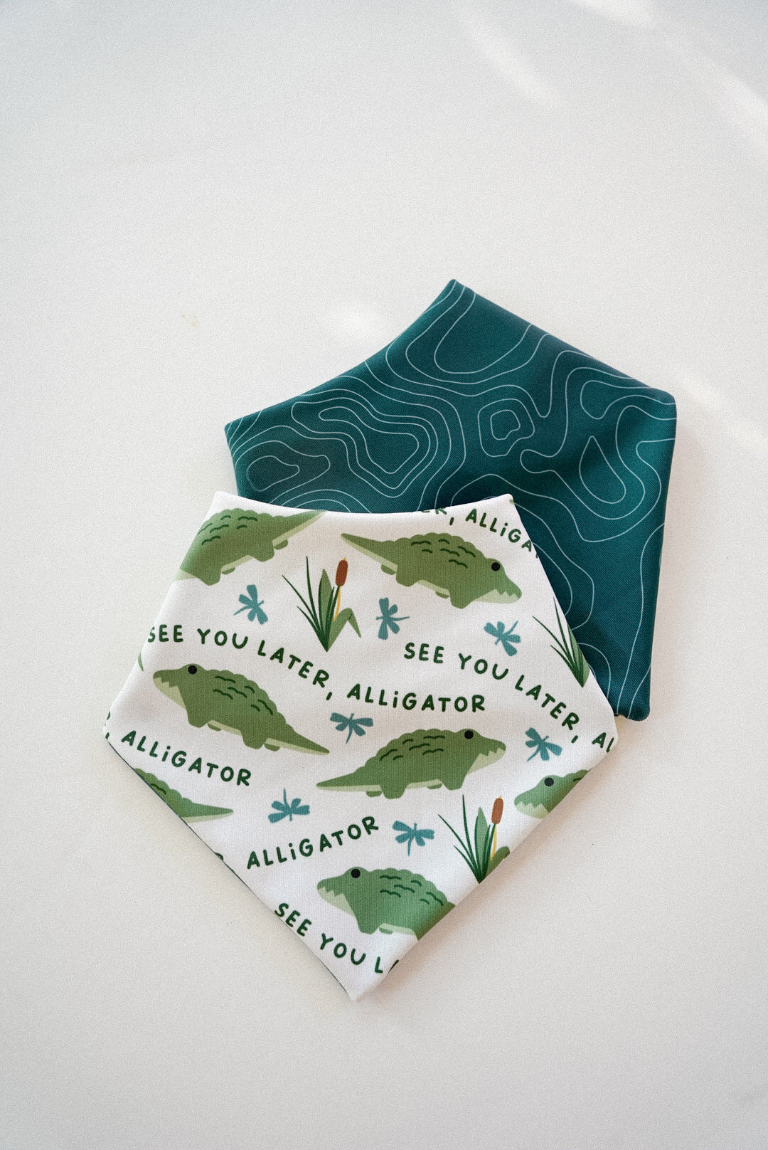 See Ya Later Alligator