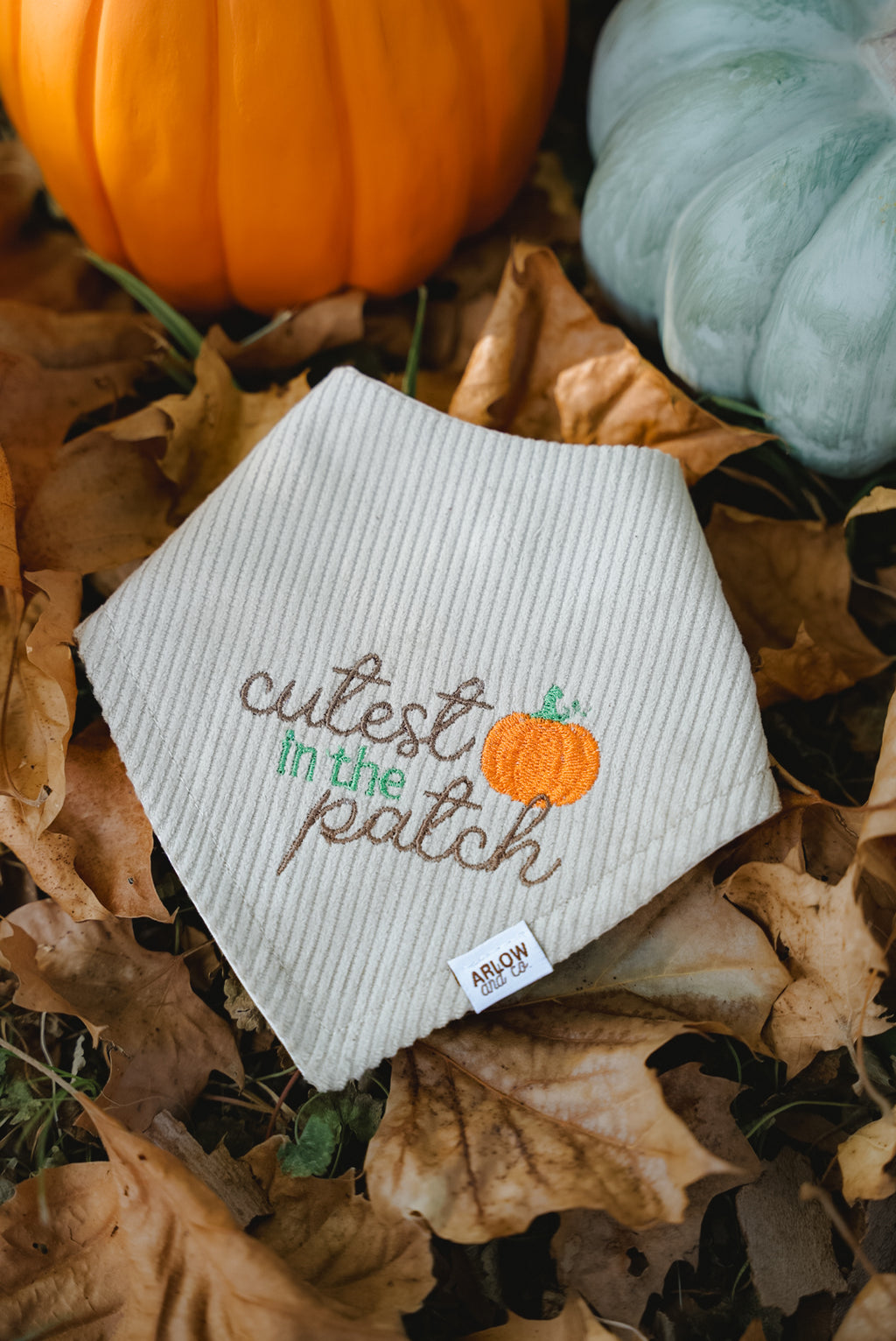 Cutest Pumpkin in the Patch Embroidered Bandana | Seasonal Fall Pet Bandanas for Dogs & Cats