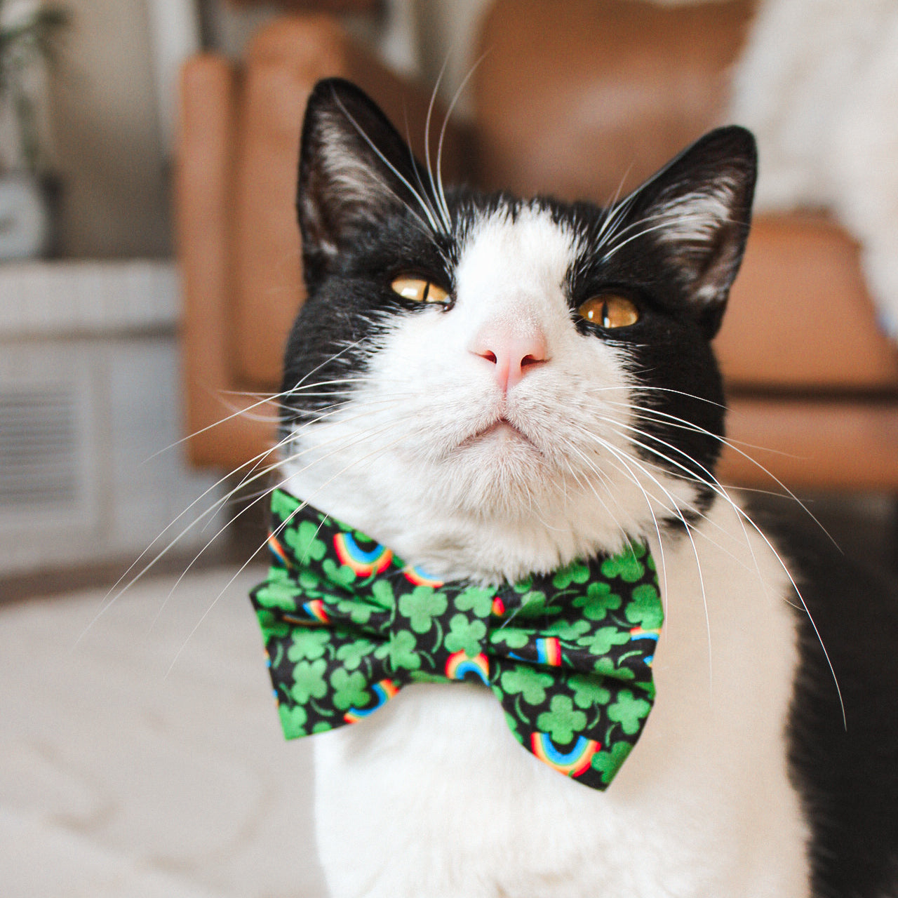Clover St. Patrick's Day Bowtie | Sailor Bows for Dogs & Cats