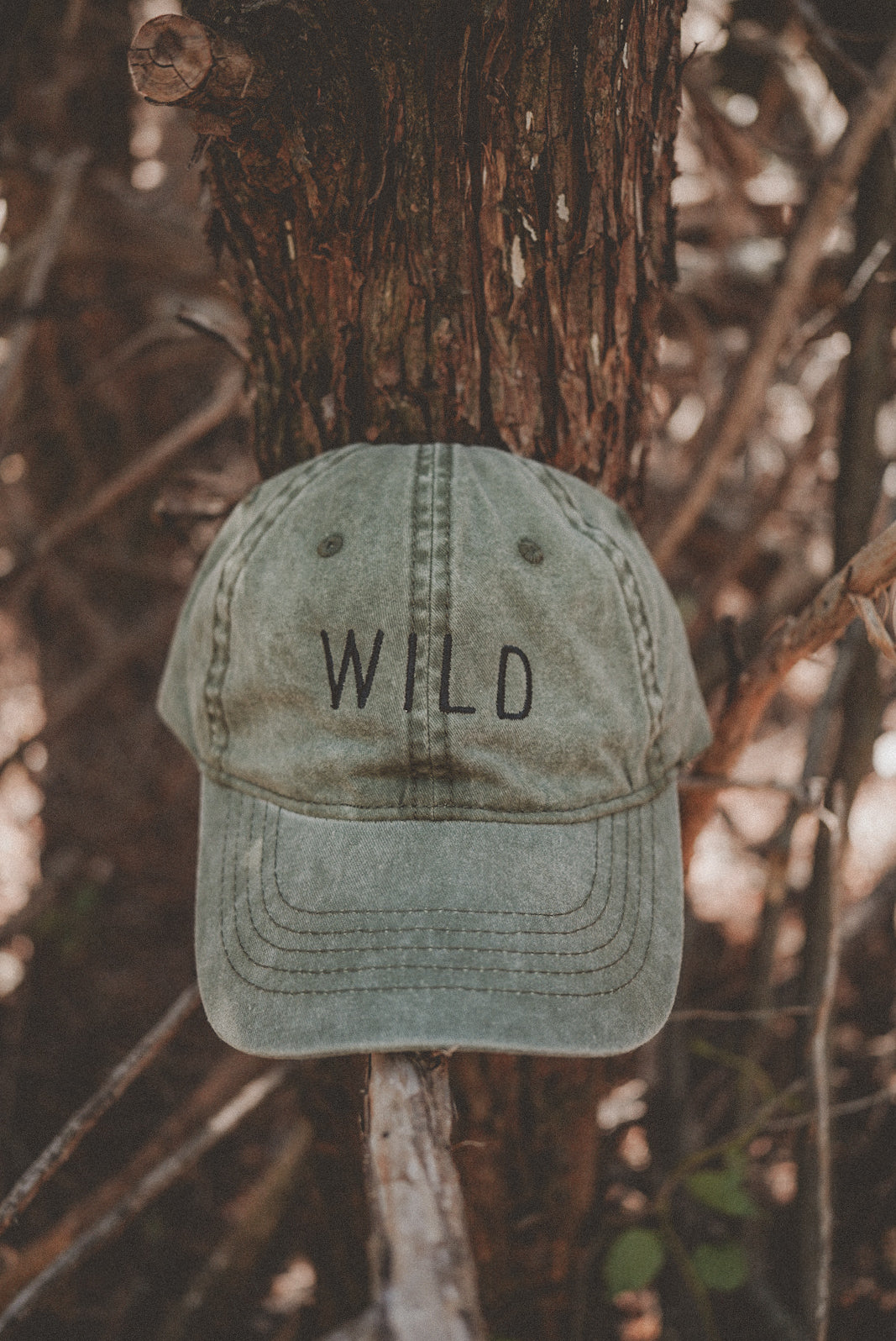 Wild Baseball Cap