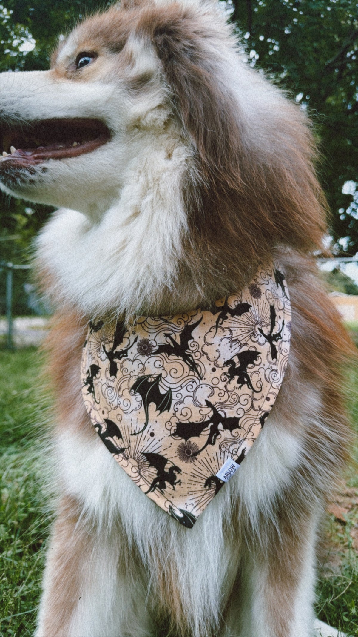 Fantasy Dragon Bandana | Cotton Book Inspired Dragon Pet Bandanas for Dogs & Cat