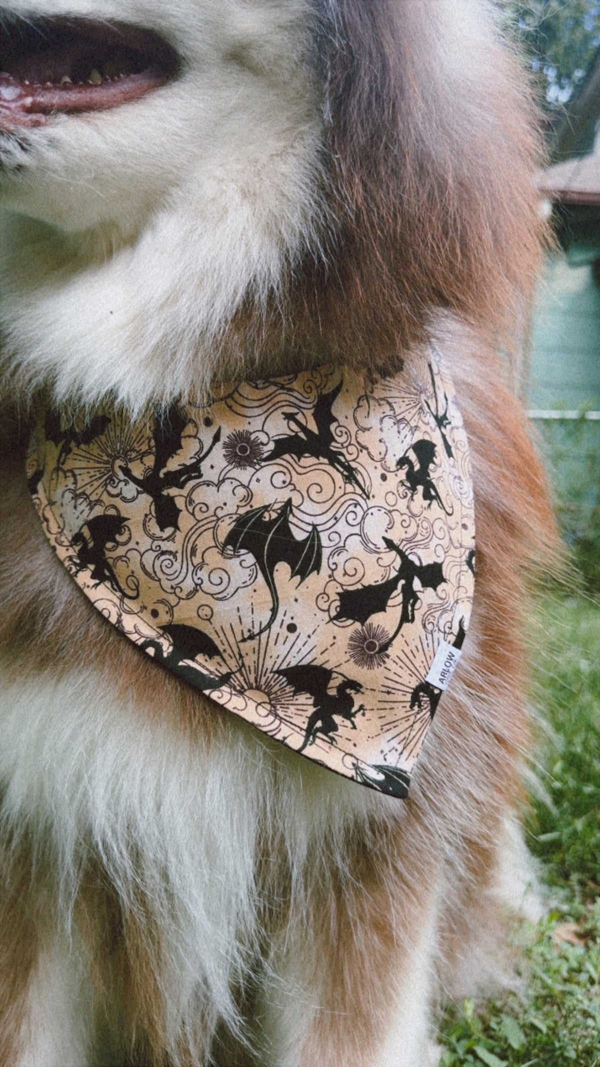 Fantasy Dragon Bandana | Cotton Book Inspired Dragon Pet Bandanas for Dogs & Cat