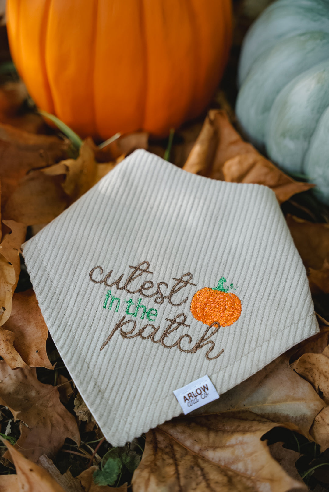 Cutest Pumpkin in the Patch Embroidered Bandana | Seasonal Fall Pet Bandanas for Dogs & Cats