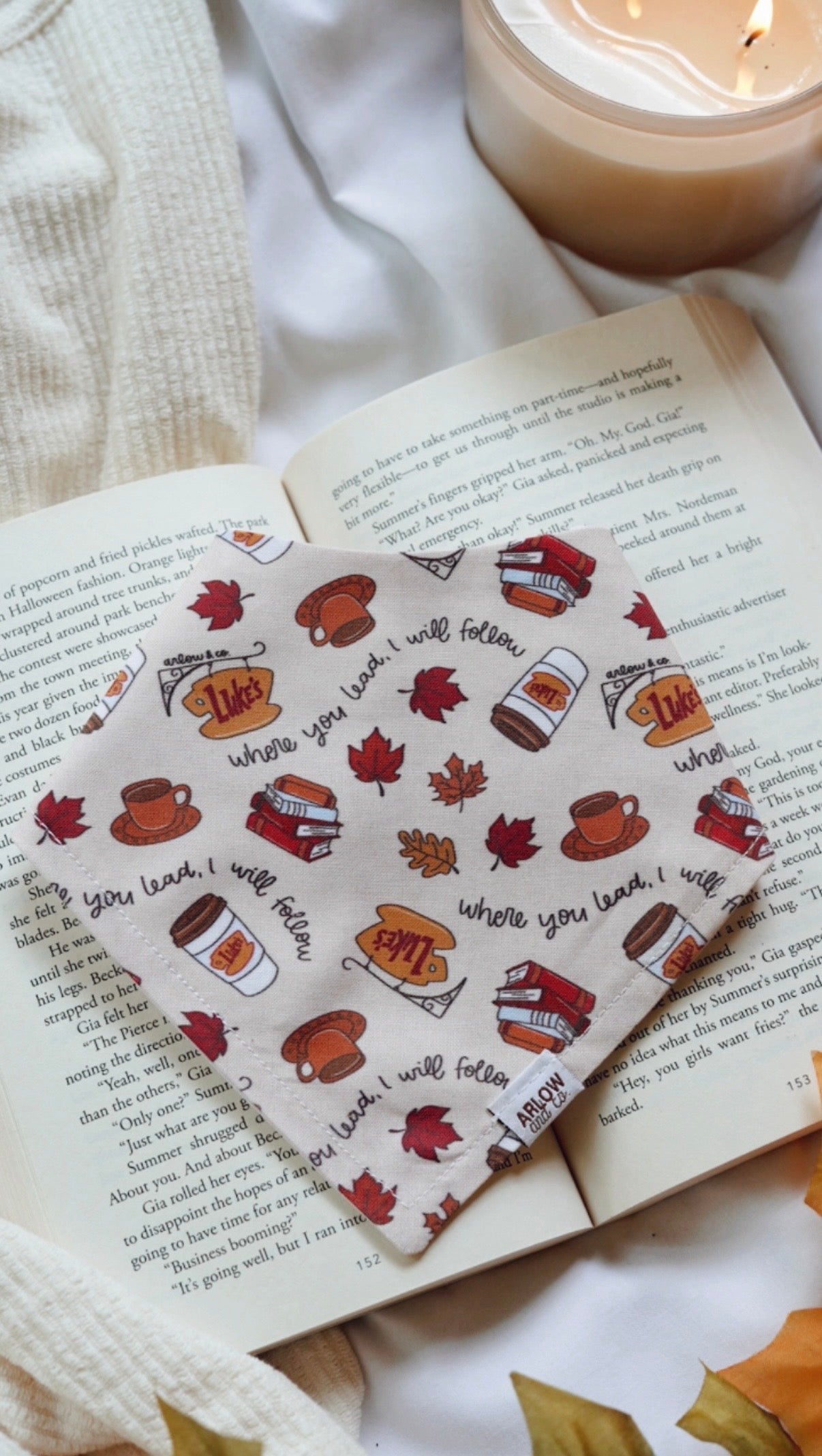 Follow Where You Lead Bandana | Cotton Seasonal Fall Pet Bandanas for Dogs & Cat