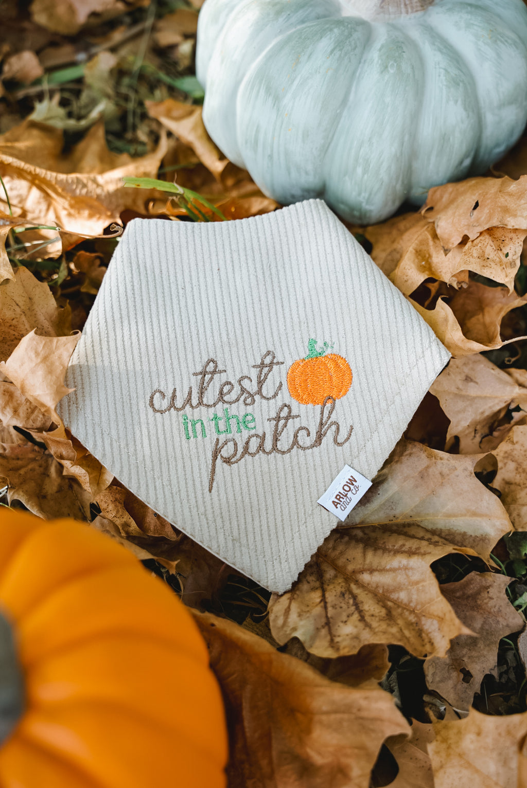 Cutest Pumpkin in the Patch Embroidered Bandana | Seasonal Fall Pet Bandanas for Dogs & Cats