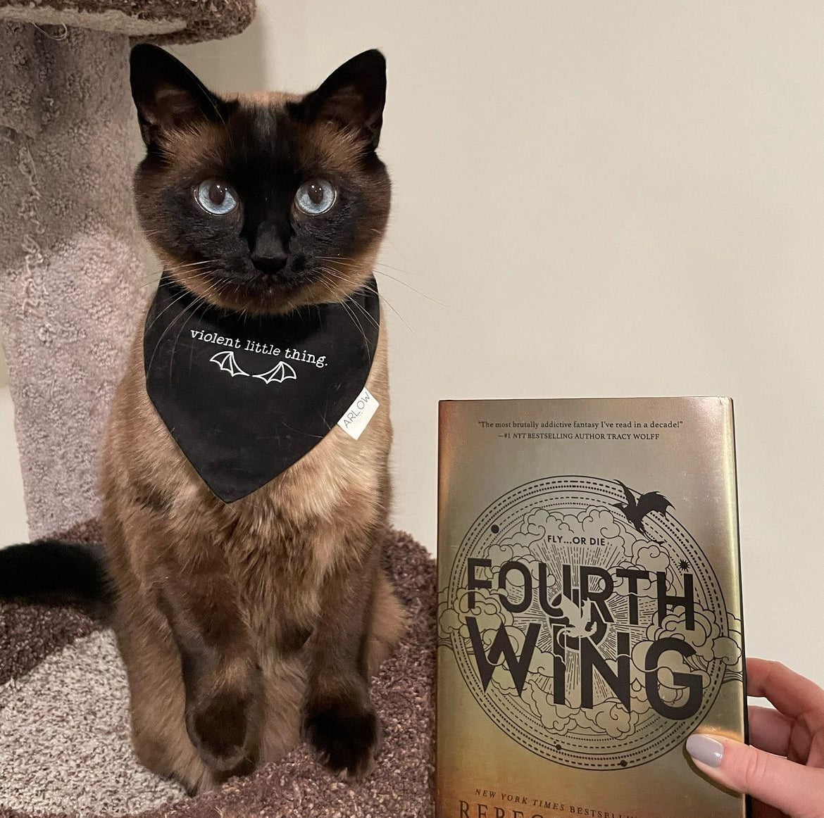 Violent Little Thing