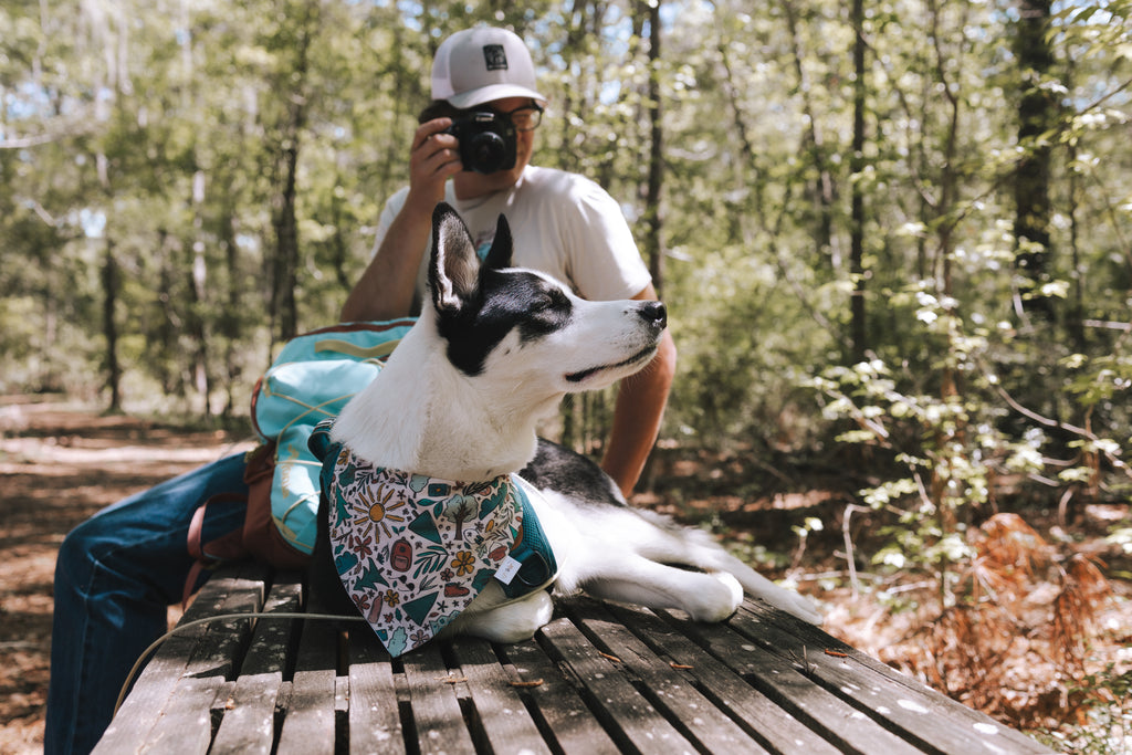 Trail Essentials