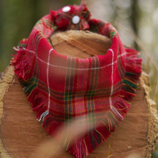 jolly plaid bandana