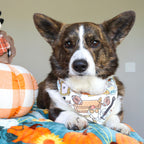 Dog wearing a bandana with a cartoon design, sitting on a bed with pumpkins and a stuffed toy in the background.