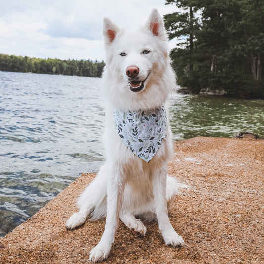 Oliver | Bandana