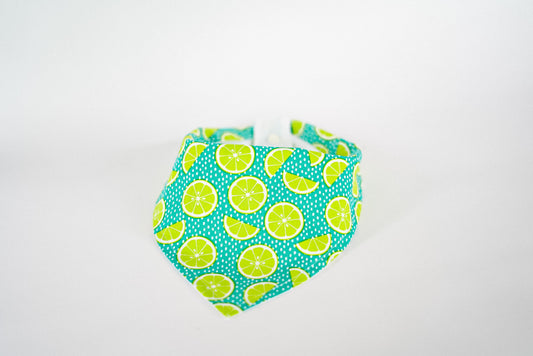 Mojito Time Bandana