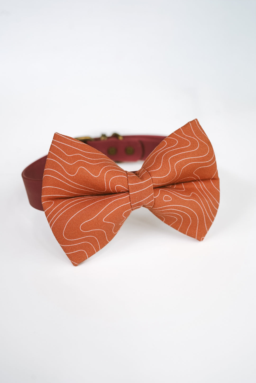 Topography Bowtie | Collar Accessories for Pets