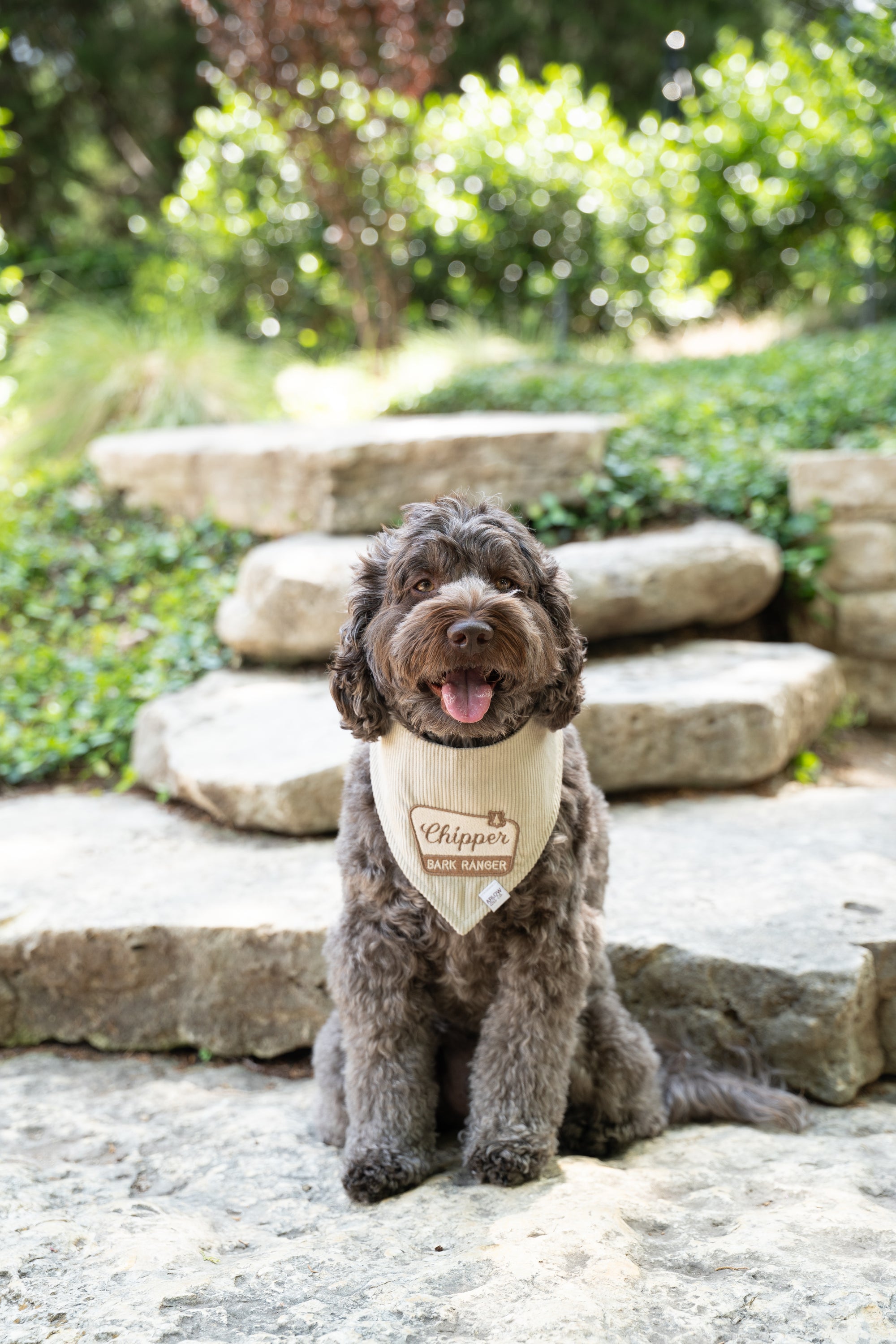 Bark Ranger Embroidered Corduroy Bandana | National Park Embroidered Pet Bandanas for Dogs & Cats