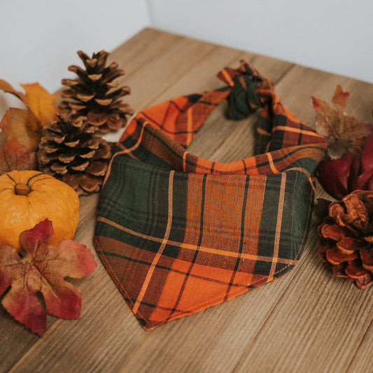 Fall Foliage Plaid | Bandana