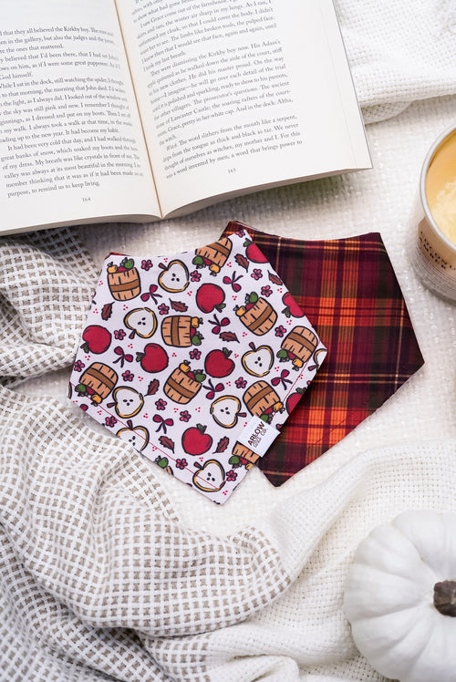 Apple Picking Bandana | Reversible Cotton Fall Seasonal Pet Bandanas for Dogs & Cats