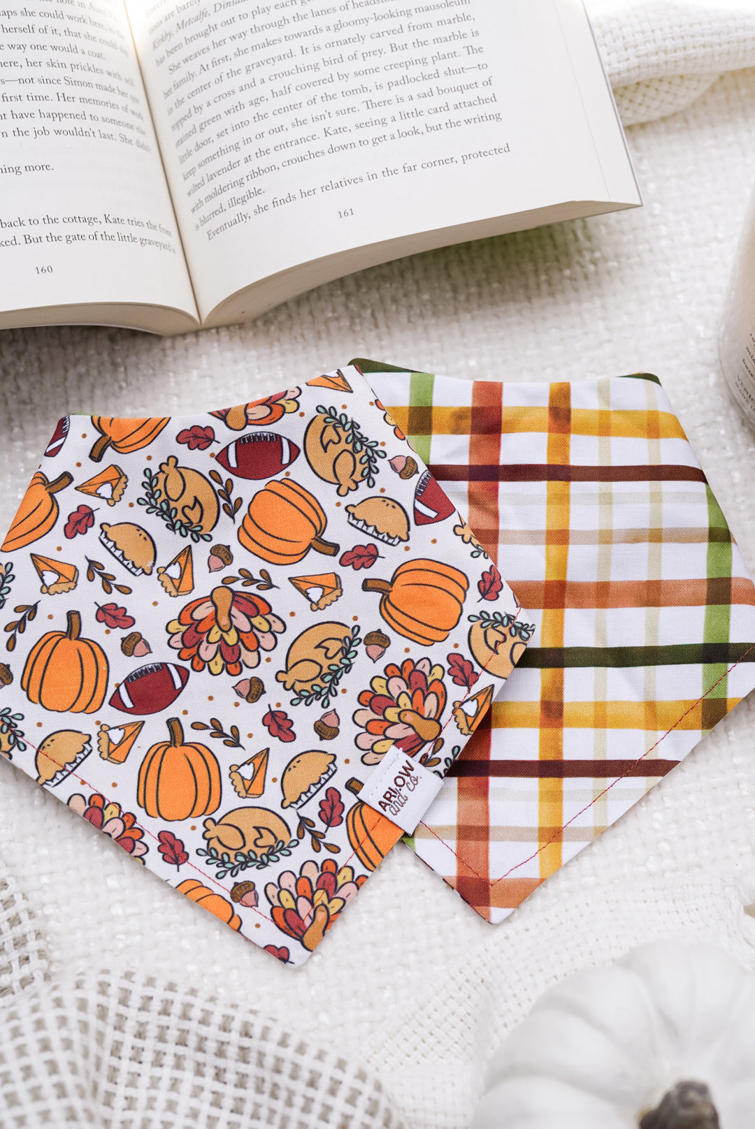 Turkey Day Bandana | Reversible Cotton Fall Seasonal Pet Bandanas for Dogs & Cats