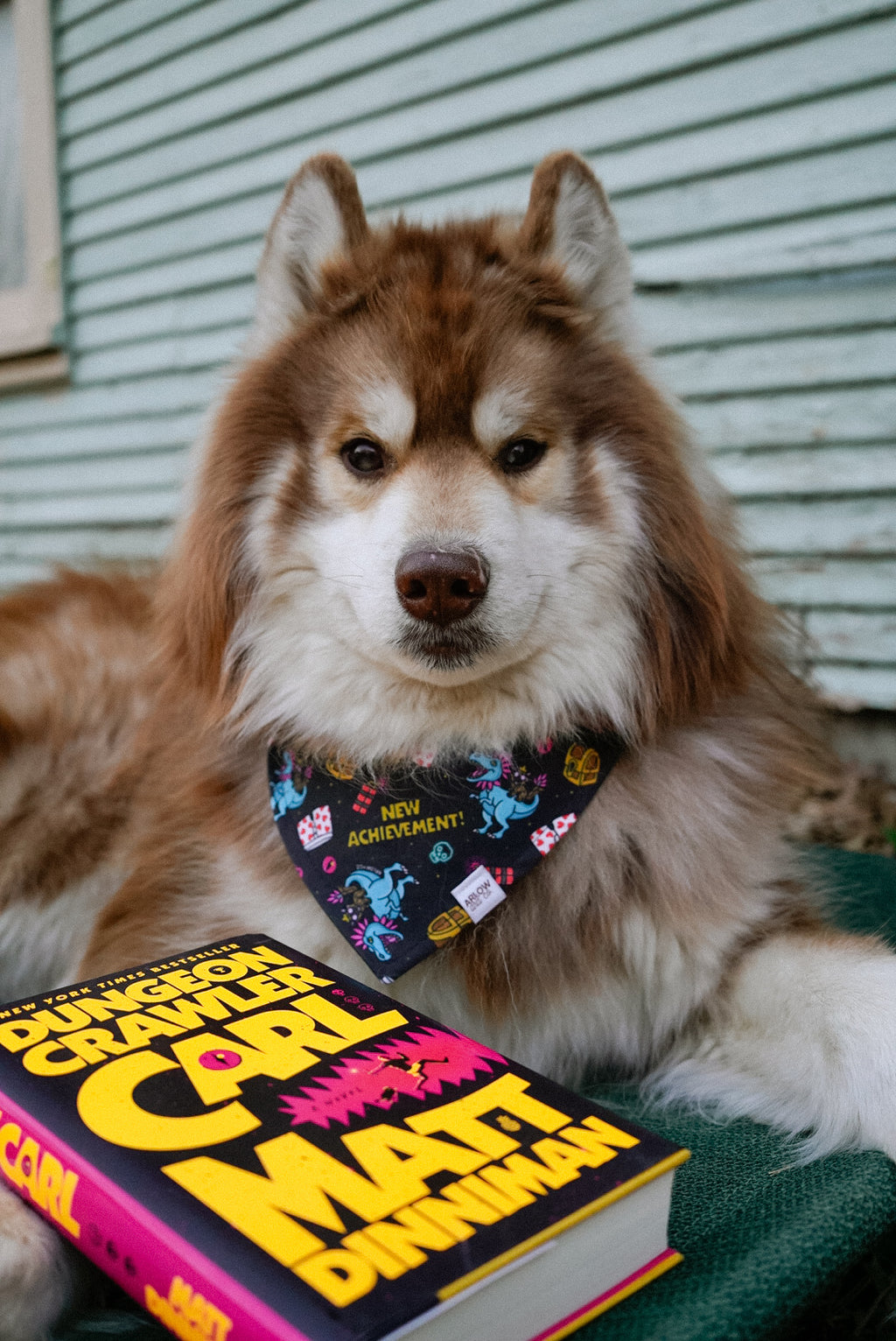 Dungeon Crawler Carl Bandana | Cotton Bookish Pet Bandanas for Dogs & Cats
