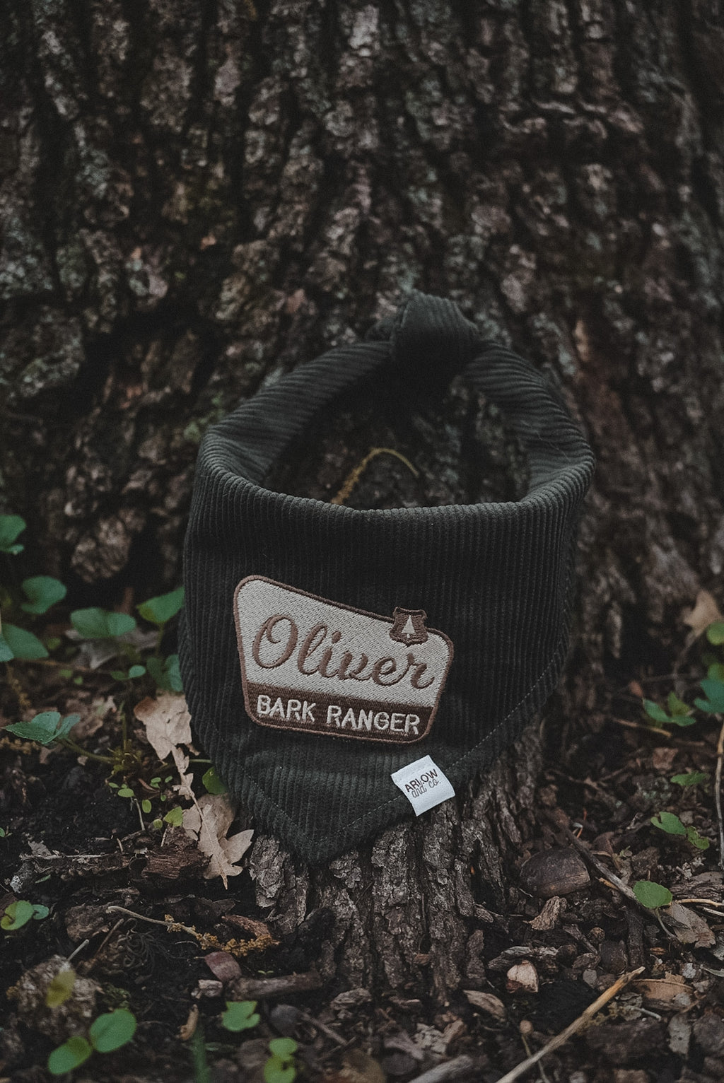 Bark Ranger Embroidered Corduroy Bandana | National Park Embroidered Pet Bandanas for Dogs & Cats