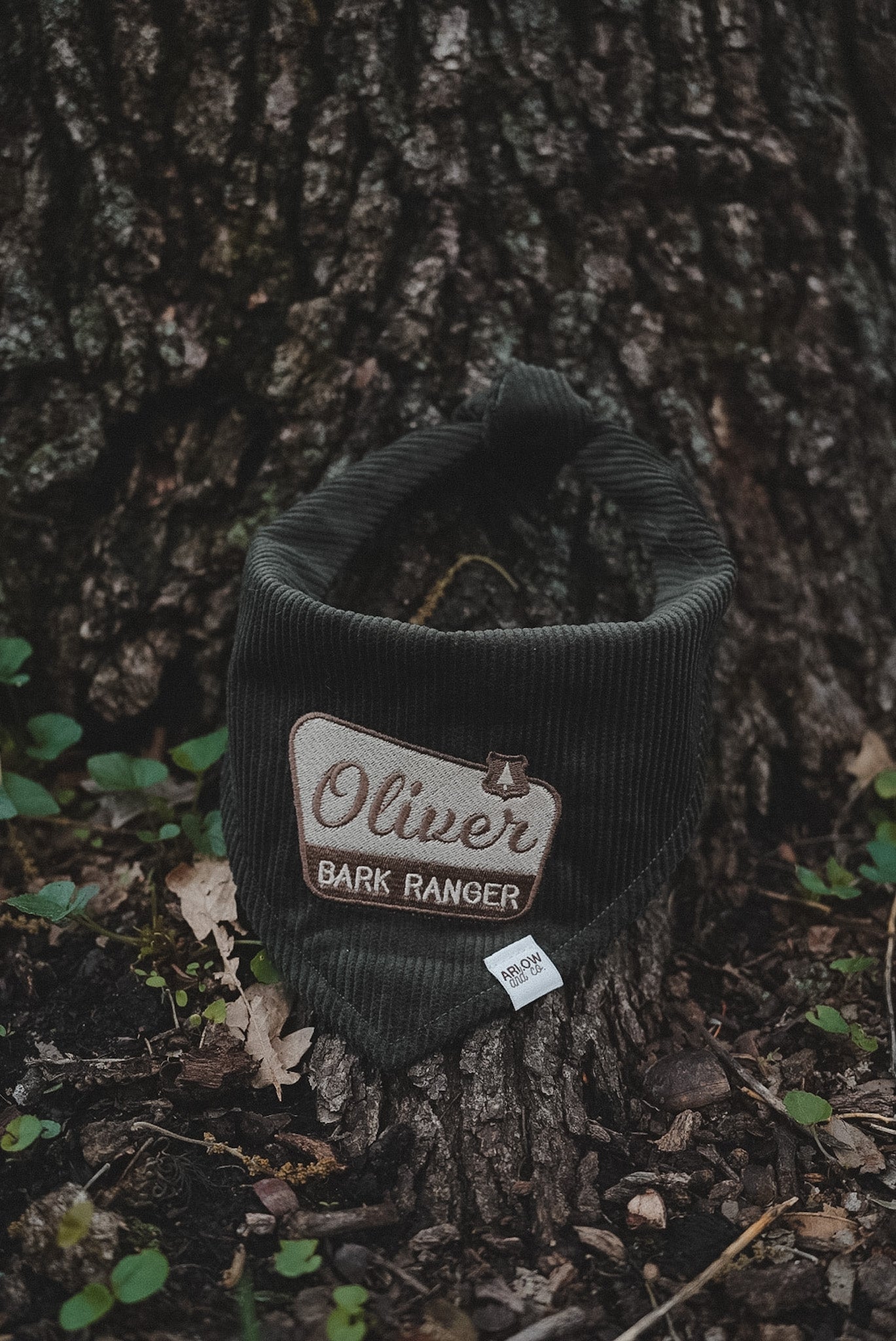 Bark Ranger Embroidered Corduroy Bandana | National Park Embroidered Pet Bandanas for Dogs & Cats