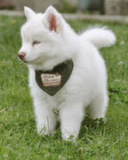 Bark Ranger Embroidered Corduroy Bandana | National Park Embroidered Pet Bandanas for Dogs & Cats