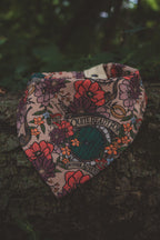 Ready For An Adventure