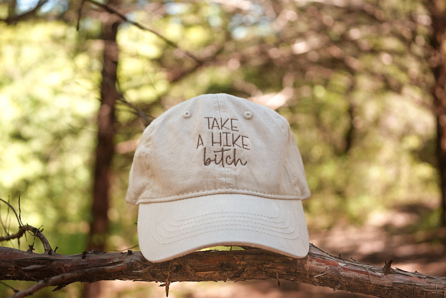 Take A Hike Bitch Baseball Cap