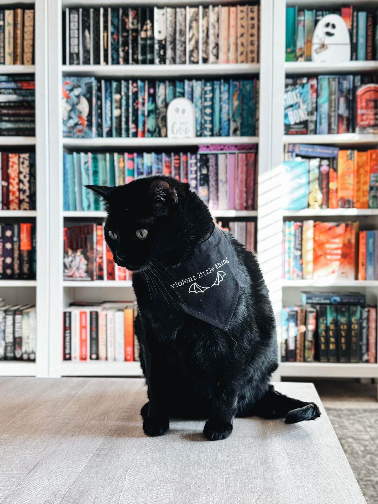 Violent Little Thing