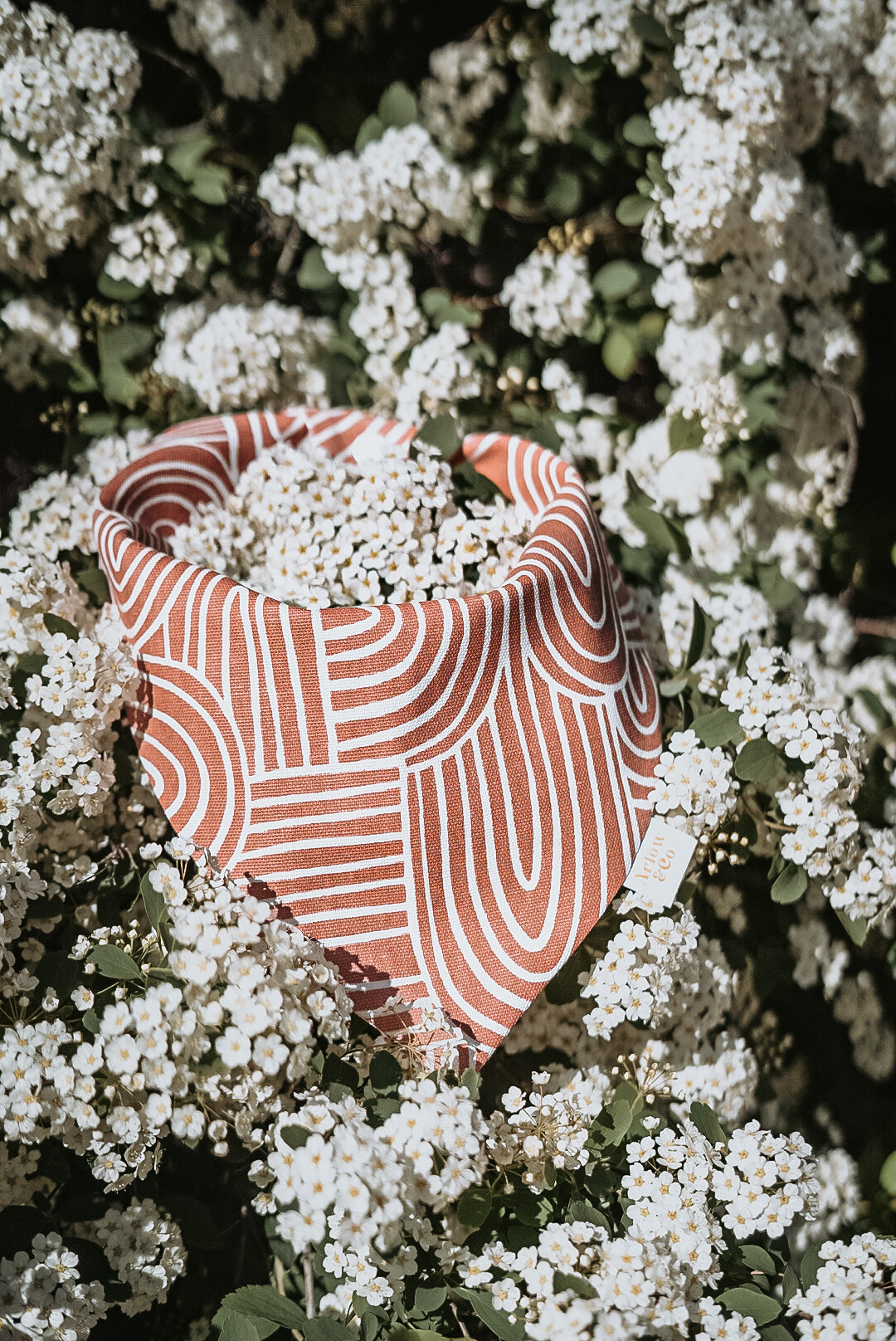 Tahoe | Bandana