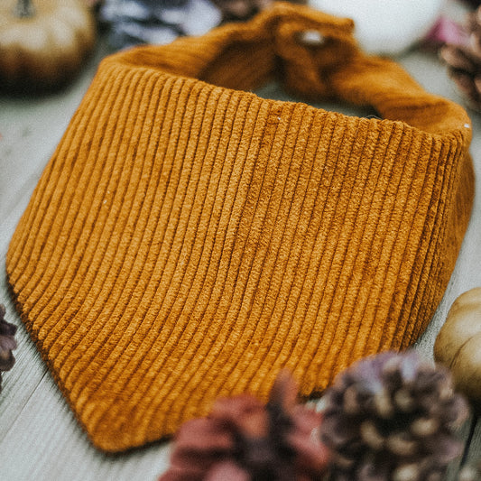 Autumn Corduroy | Bandana