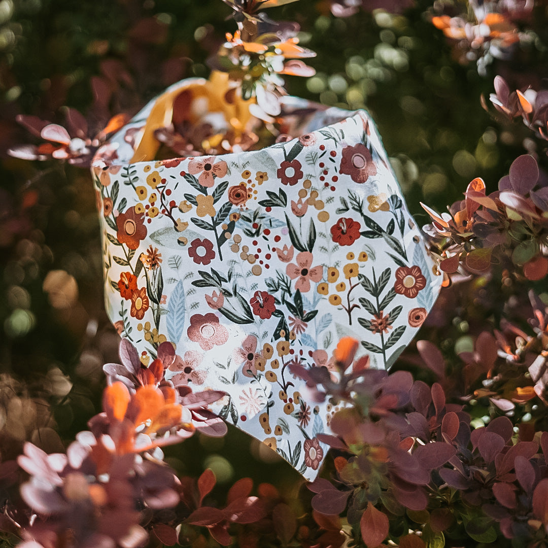 Flora