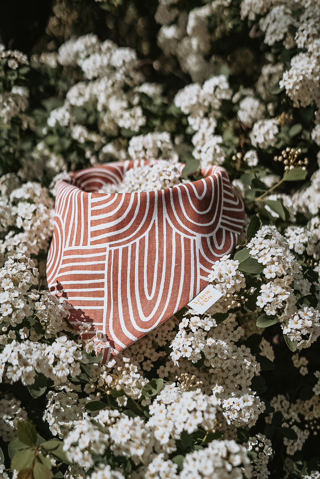 Tahoe | Bandana