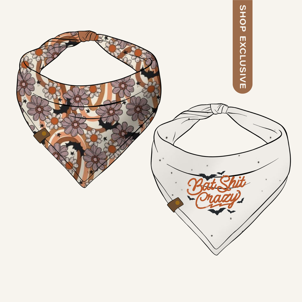 Batshit Crazy Bandana | Reversible Cotton Seasonal Halloween Pet Bandanas for Dogs & Cat