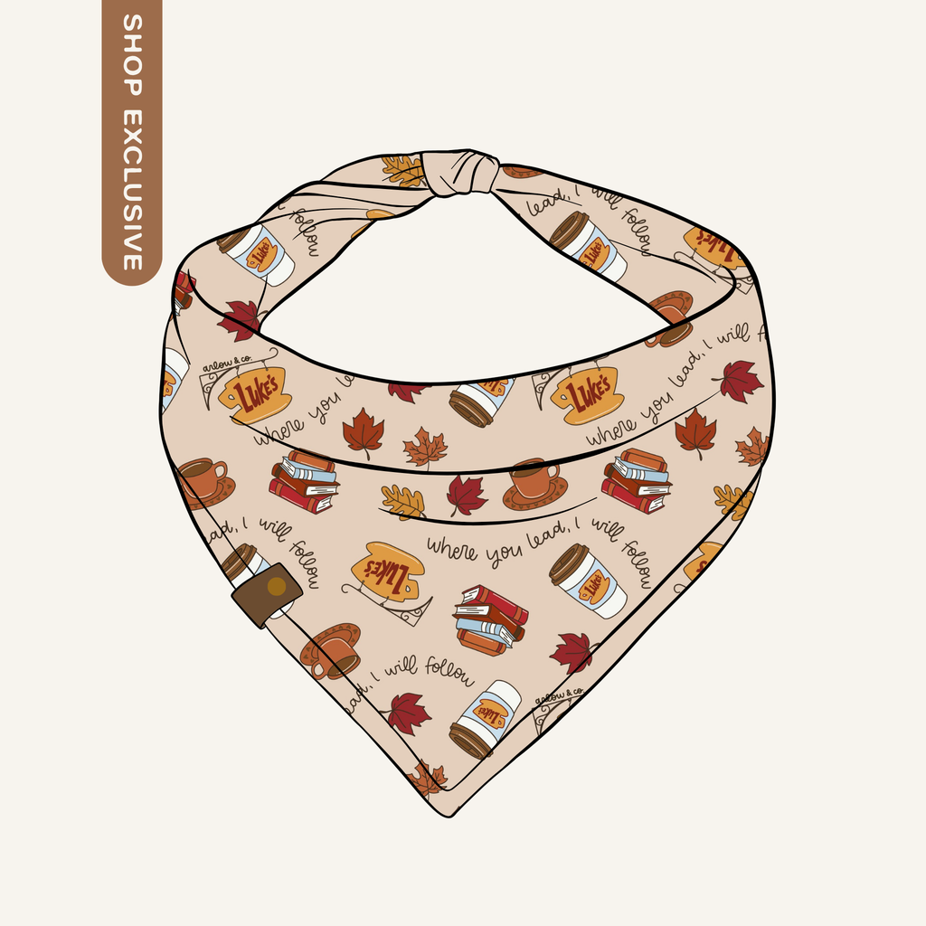Follow Where You Lead Bandana | Cotton Seasonal Fall Pet Bandanas for Dogs & Cat