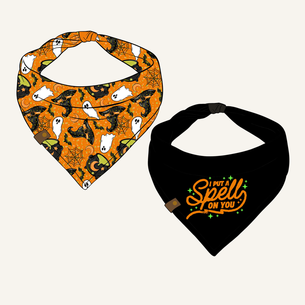 Witches Brew Bandana | Reversible Cotton Seasonal Halloween Pet Bandanas for Dogs & Cat