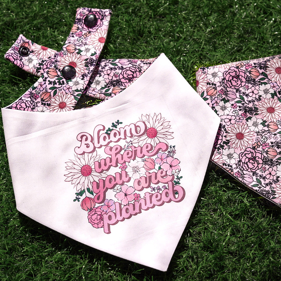 Bloom where you are planted